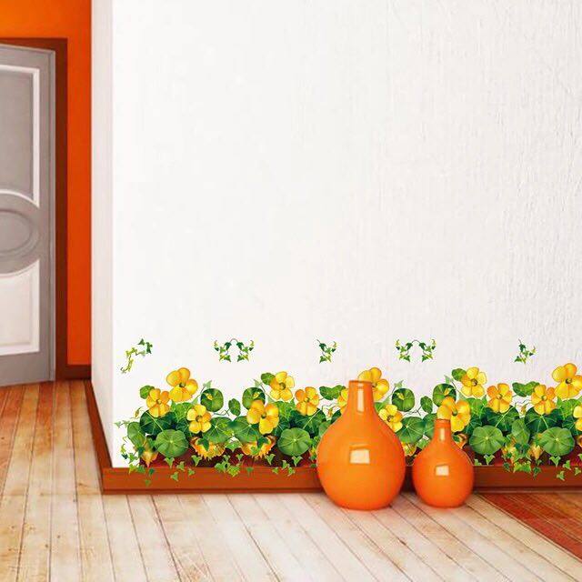 Chân tường cỏ may mắn